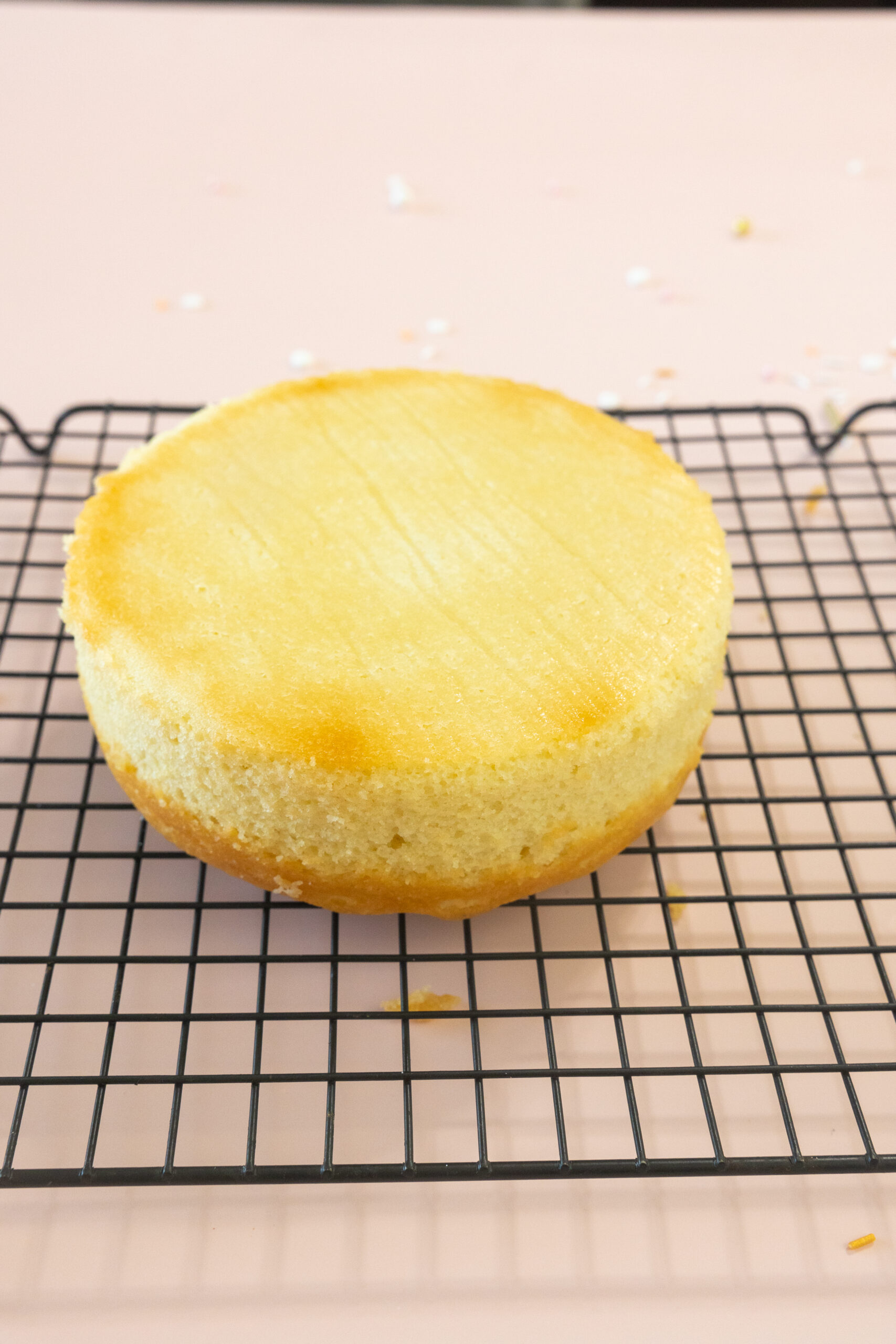Most Delicious Bento Cake Recipe - Bakingo Blog